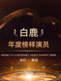 白鹿的年度榜样演员奖杯