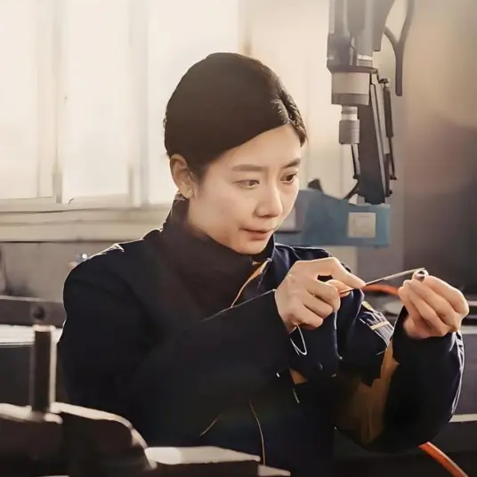 任玥熹的八级女钳工的封面图