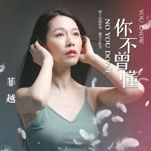 菲越的你不曾懂的封面图