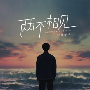 独琴者的两不相见的封面图